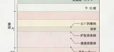 多層仕上げ塗膜の模式図